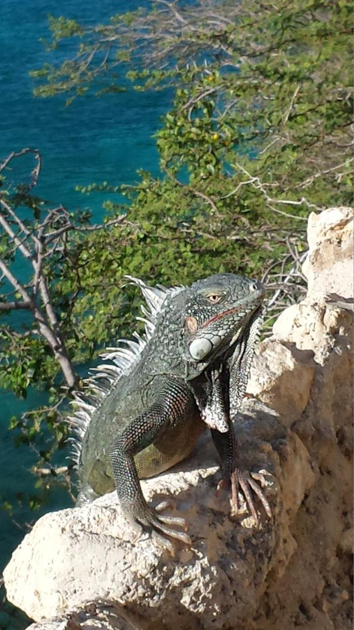 Lagunヘリエマーアパートメント エクステリア 写真